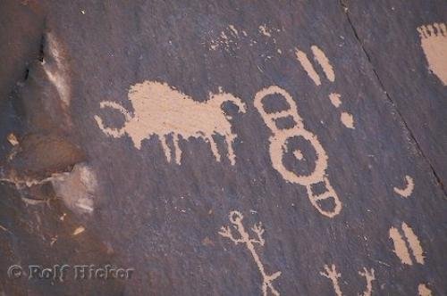 Buffalo Petroglyph