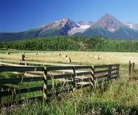 Photo of farmland near Smithers in British Columbia, Canada.
