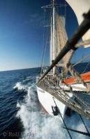 The Sailing Ship 'Rembrandt von Rijn' sailing between the Galapagos Islands
