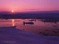 Stock of Sunset Pictures over pack ice on the western shores of Newfoundland