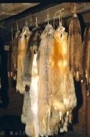 Various animal pelts hang from the rafters of a building at the fur trading post at Lower Fort Garry National Park in Manitoba, Canada.