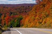 Autumn has arrived in this view along the road through Algonquin Provincial Park. The changing scenery in this picture stretches on for miles and the autumn colours of the leaves make the landscape even more beautiful.