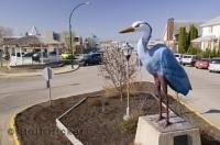 This statue of a blue heron is in the main street of Barrhead in Alberta, Canada.