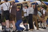 Men work together to raise the Maibaum in Putzbrunn, Bavaria, Germany.