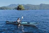A popular vacation activity during a visit to Vancouver Island in BC, Canada is sea kayaking particularly with killer whales.