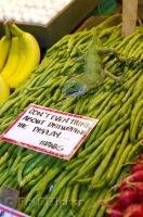 A funny picture of a lizard and sign warning against disturbing a display at the Pike Market Public Market Center in downtown Seattle.