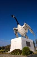 A massive Canadian Goose statue is erected in the town of Wawa, Ontario and is a fixture that is not easily missed.