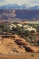 The landscape in a canyon in Canyonlands National Park in Utah, USA.