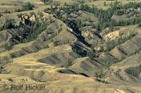 The rolling hills of the Cariboo Country near Williams Lake in British Columbia, Canada.