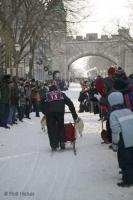 A dog sled race through the streets of Quebec is one of the events of the Carnival de Quebec in Canada.
