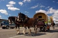 A horse drawn wagon procession is an interesting method of collecting for a charity donation in Roxburgh, Central Otago, New Zealand.