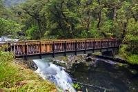 A hiking track wends through the dense native bush to a foot bridge which passes over Chasm in Fiordland National Park, NZ.