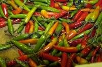 A colourful variety of hot chili peppers at the Public Market Center in Seattle, Washington, USA.