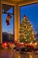 A Christmas tree decorated with multi-coloured lights and topped with a Santa hat stands in a windowich where a Christmas stocking is hung.