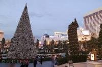 There are many family vacation packages available during the Christmas season that take you on a spectacular trip to Las Vegas, Nevada.