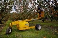 A commercial apricot picker starts his day with his helpful machine and makes his way through the orchard near Roxburgh in Central Otago, New Zealand picking all the ripe fruit.