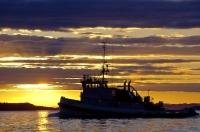 A commercial fishing boat traveling home off Northern Vancouver Island, glistens in the extraordinary colors of a stunning sunset.