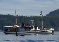 A whale watching boat takes passengers on tours in the North of Vancouver Island, a popular tourist and vacation destination.