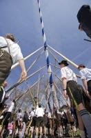 A group of cute German guys admiring the job they completed of raising the Maibaum in Putzbrunn, Germany.