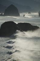 Stunning views of Cannon Beach and the coast of Oregon can be seen from Ecola State Park.