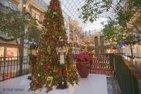 For an unforgetable christmas shopping experience, visit the West Edmonton Mall in Alberta, Canada.
