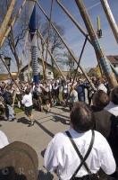 These traditional poles are used by the European people to raise the Maibaum in Putzbrunn, Southern Bavaria.