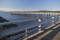 Salt water fishing is a regular event along the pier in Campbell River, British Columbia.