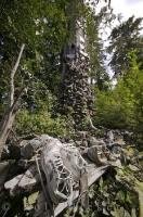 What looks like a shoe rack on some old cedar trees in Holberg on Northern Vancouver Island has actually become a traditional affair.