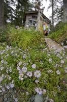 When hiking on the Cape Scott Trail around Cape Palmerston on the West Coast of Northern Vancouver Island you will come across huts that are used for shelter in emergency situations.