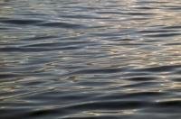 Watching the ripples of the ocean on a calm day around Northern Vancouver Island can captivate you for hours at a time.