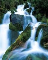 A beautiful waterfall flowing through the rainforest of British Columbias coast.