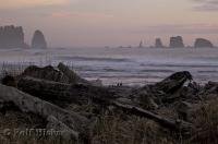 A photo of First Beach situated in La Push along the West Coast of the Olympic Peninsula in Washington, USA.