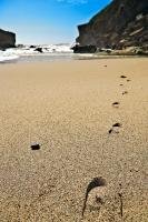 Fresh footprints in the sand of Kohaihai Beach, the start of the well known Heaphy Track on the scenic West Coast of the South Island of New Zealand