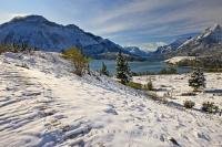 Swept by the wind, the first snowfall of winter creates a beautiful, fresh contrast against the landscape in Waterton Lakes National Park.