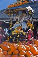 One of the many outdoor displays at a produce stall during the fall season in Keremeos, using an old horse buggy, squashes and a funny mannequin.