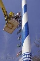 A German man from the village of Putzbrunn fastens a sign to the Maibaum in Southern Bavaria, Germany.