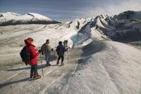 Available from the cruise ship port of Juneau, helicopter flights and glacier walks are an invigorating experience during an Alaska vacation.