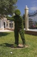 A statue of a golfer created out of clipped shrubs in full swing at the Oliva Nova Golf Course in Valencia, Spain in Europe.