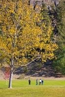Though people play golf year round, a wonderful time for golfing in the Okanagn Valley is during the fall months when the scenery is that of golden leaves.