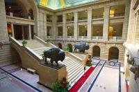 Two life sized bronze statues of North American bison flank the Grand Staircase in the Legislative Building, downtown Winnipeg, Manitoba, Canada. The building was completed in 1920.