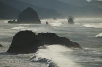 The 235 foot high monolith of Haystack Rock along Cannon Beach in Oregon is designated a bird and marine sanctuary.
