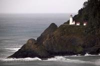 The red topped buildings and tower of the Heceta Head Lighthouse along Highway 101 in Orego, USA.