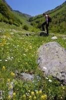 A woman stops near a rock while hiking in the Val d'Aran in the Pyrenees in Catalonia, Spain.