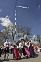 A historic Bavarian tradition is the raising of the Maibaum which is celebrated throughout Bavaria, Germany.