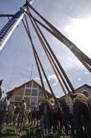 The historic pole known as the Maibaum is almost completely in place in the European village of Putzbrunn, Southern Bavaria.