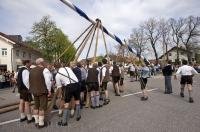 An annual historic event is the Maibaumfest celebrated throughout Bavaria in Germany.