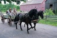 In the Upper Canada Village in Morrisburg, Ontario in Canada, everyone travels around by a horse drawn cart.