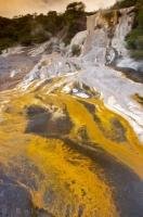 Yellow is a common colour of the hot springs algae which will grow in temperatures of 35-59 degrees celcius.