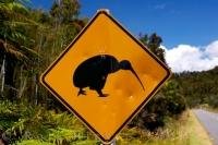 This road sign alerts drivers on the Forks-Okariko road on the West Coast of the South Island of NZ to keep their eyes open for any crossing kiwi.