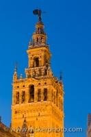 The famous La Giralda, the bell tower and minaret, of the Cathedral of Sevilla, is lit up at dusk as it towers above the city. This view is from the Plaza del Triunfo in the Santa Cruz District in Sevilla, Andalusia, Spain.